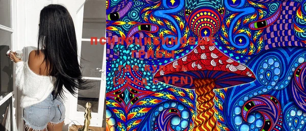 PSILOCYBIN Алзамай