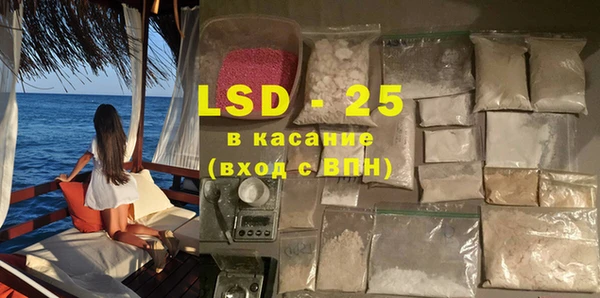 PSILOCYBIN Алзамай