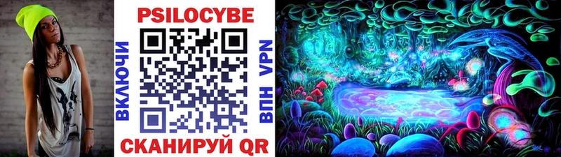 omg tor  Сухой Лог  Псилоцибиновые грибы MAGIC MUSHROOMS 