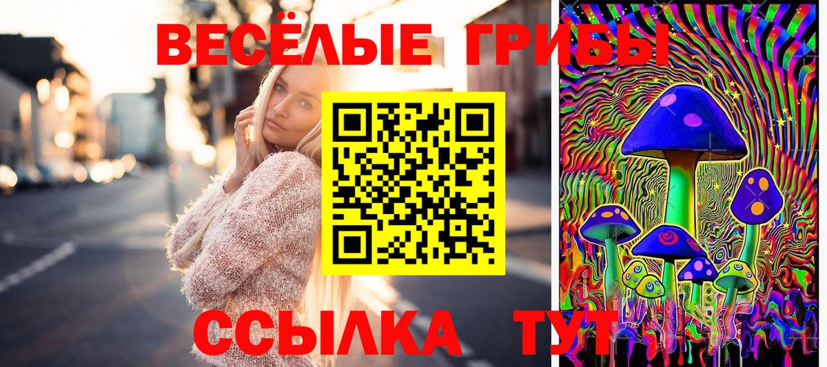 Сухой Лог  Псилоцибиновые грибы GOLDEN TEACHER  Вход с VPN 